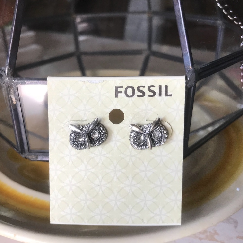 Fossil Owl Earrings